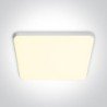 20W LED panelė 3000K Balta 50120CE/W