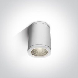 6W LED Lubinis šviestuvas 3000K Baltas 67138C/W/W